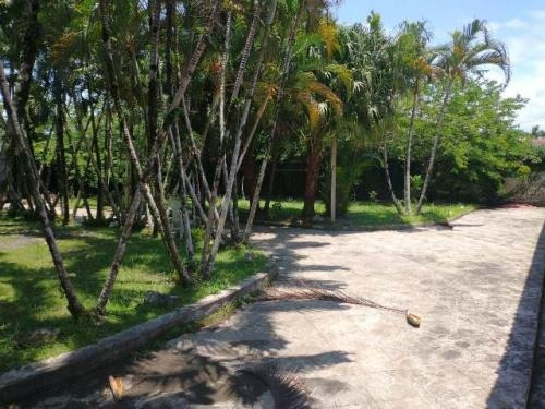 Imagem 4 de 14 de Chacara Linda Em Itanhaem Ref 7407