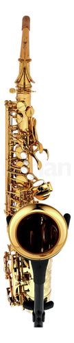 Saxofone Alto Foreston Sx Gold Lacquered Profissional