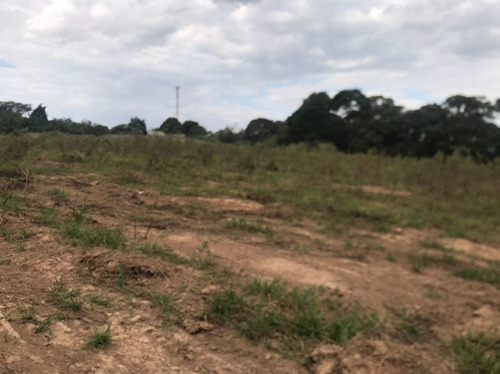 Imagem 10 de 14 de Chácaras Castelo Branco Km 68 Condomínio Fechado Mairinque