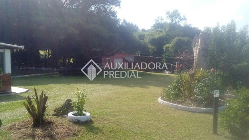 Imagem 7 de 15 de Sitio - Branquinha - Ref: 276943 - V-276943