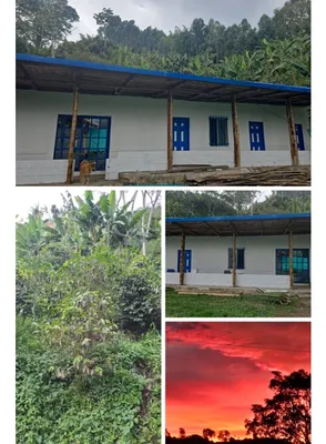 Finca en venta