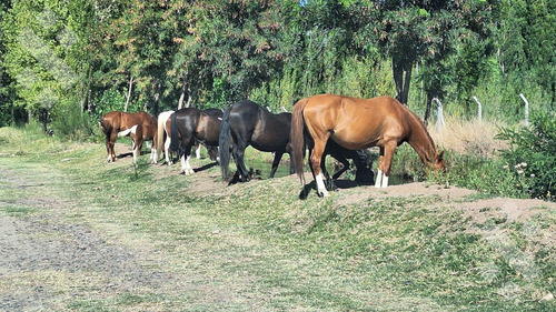 En Venta, Lotes En B° Don Vicente, Neuquén Capital.