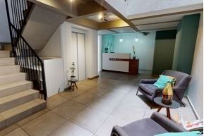 Imagen 2 de 7 de Departamento Nuevo En Miguel Angel De Quevedo, Coyoacan