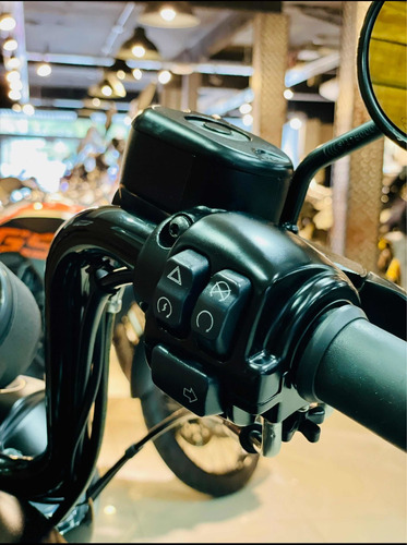 Imagen 5 de 16 de Harley Davidson Iron 883, Sportster 883, Custom 883, No 1200