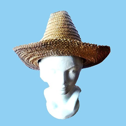 Sombrero De Palma Alto