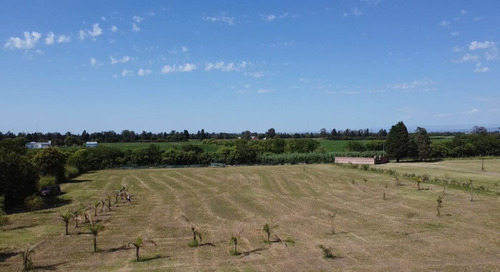 Imagen 4 de 5 de Se Vende Campo En Cordoba Capital, Facilidades De Pago