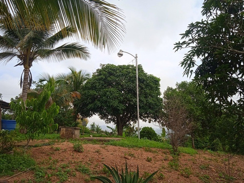 Imagen 10 de 12 de Granja Venta Cabudare En Venta, Piedad Sur, Estado Lara