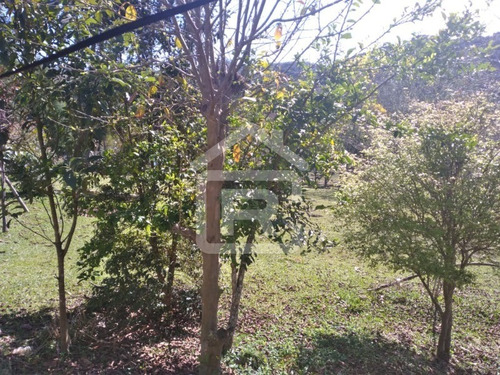 Imagem 21 de 30 de Linda Chacára Com Boa Topografia E Piscina - 27 - 70055572