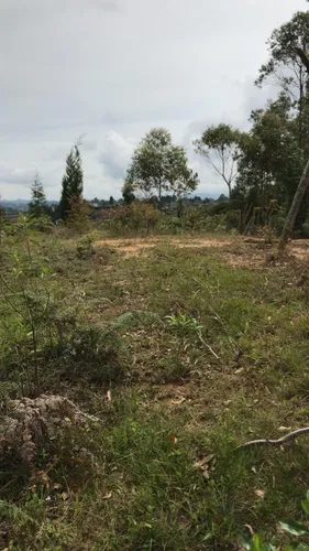 Lote En Venta En Sector Toldas. Cod V11933