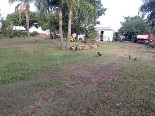 Imagen 11 de 15 de Terreno - Esperanza