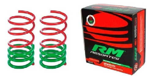 Kit Espirales Progresivos Traseros Fiat Punto Rm Rmp119