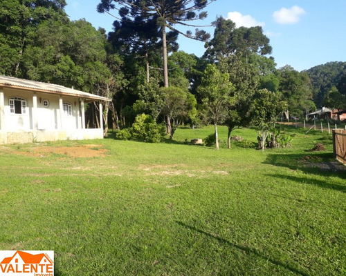 Imagem 11 de 13 de Chacara - Ch00060 - 70480387