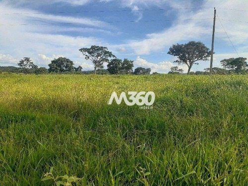 Imagem 7 de 25 de Chácara Com 6 Dormitórios À Venda, 145200 M² Por R$ 800.000,00 - Zona Rural - Urutaí/go - Ch0012