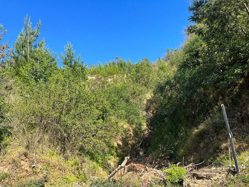 Terreno En Arriendo Con Alto Potencial Multipropósito