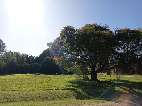 Lote En Venta En Country San Diego Moreno