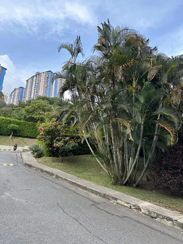 Venta De Apartamento En Calasanz Con Excelentes Espacios