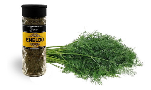 Pontino Eneldo 20 Gramos 2 Piezas