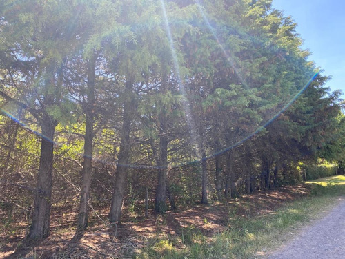 Imagen 3 de 18 de Terreno En Venta - El Remanso - Exaltación De La Cruz - 1900 M2