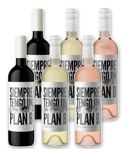 Vino Plan B Degustacion X 6 Unidades 750 Ml