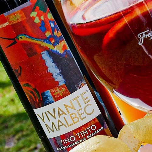 Vino Tinto Vivante Malbec 750ml