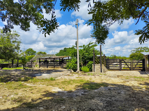 Venta De Rancho En Zona Ganadera De Yucatán, Con Cenotes, 453 Has