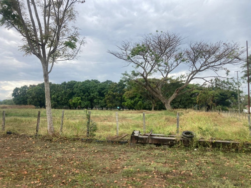 Finca En El Asentamiento Campesino Las Mariposa Plf-003