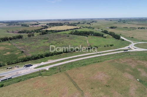 Imagen 15 de 16 de Terreno En Venta O Permuta Ubicado En General Rodríguez, General Rodríguez