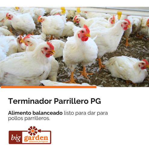 Alimento Terminador Parrillero Sincor Big Garden De 25kg