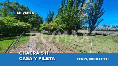 Venta Chacra 5 H. Casa Y Pileta En Ferri