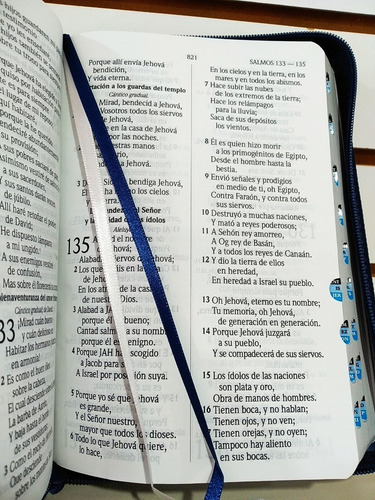 Imagen 7 de 9 de Biblia Rvr1960 Letra Gde. Imit. Piel Gris/azul Cierre/índice