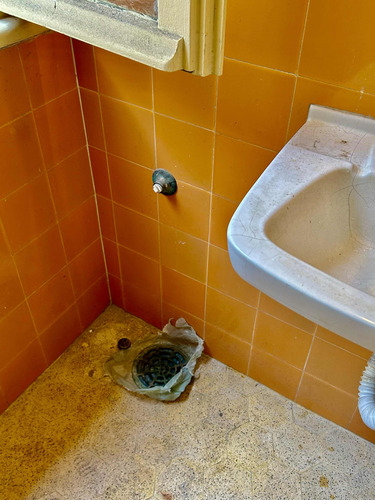 Sala Comercial Com Banheiro E Copa