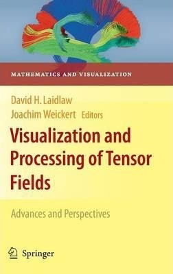 Visualization And Processing Of Tensor Fields - David H. ...