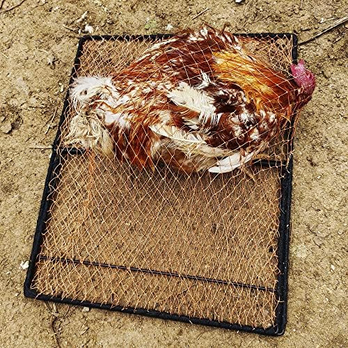 Trampa Para Pájaros, Paloma, Gorrión, Codorniz, Pollo, Contr