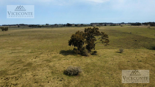 Imagen 13 de 29 de Campo - General Mansilla