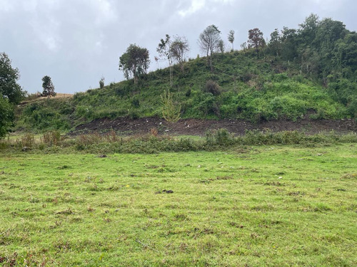 Terreno En Pumol Con Vista Al Rio - Futrono