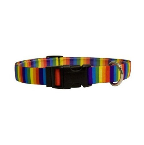 Collar Para Gato Arcoíris 