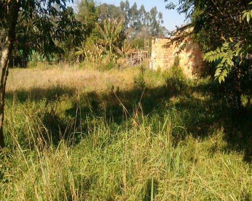 Chácara 1.100 M² - Vila Nova - Glorinha - Rs - 1531 - 32420052
