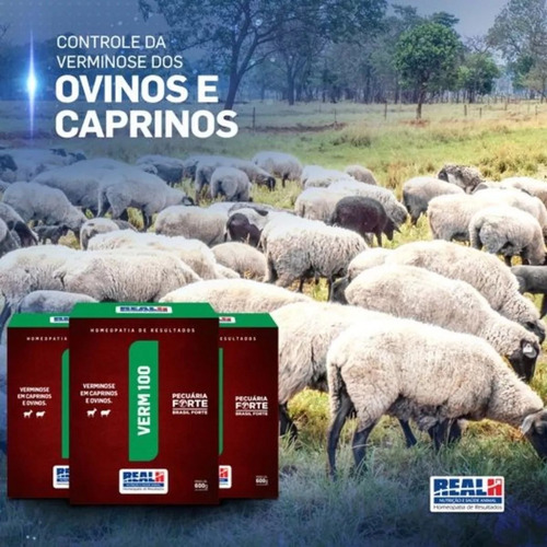Kit 12 Unidades - Verm 100 Real H Controle Verminose 600g