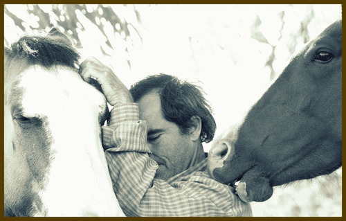 Imagen 2 de 3 de Libro: Y Le Susurre Al Caballo - David Castro