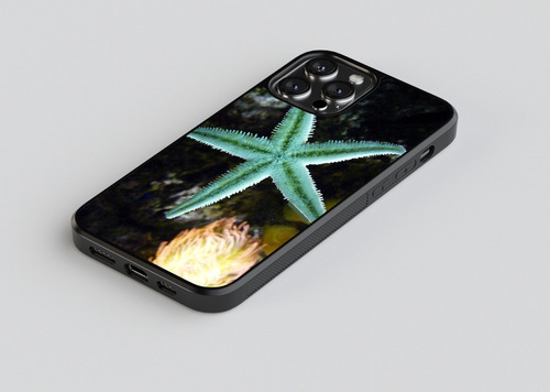 Funda Diseño Para iPhone Estrellas De Playa  #3