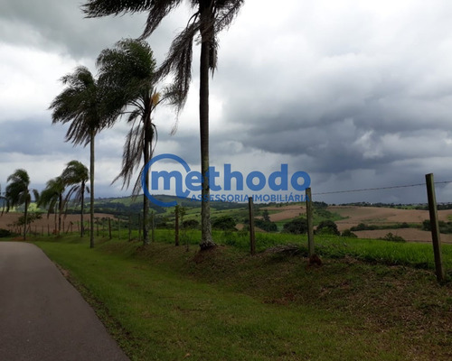 Terreno - Te00033 - 68211407