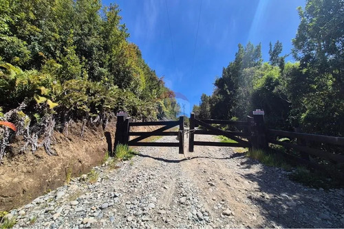 Parcela Bosque Nativo, Inversionistas!! Chiloe