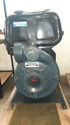 Imagen 3 de 7 de Motor De Sacar Agua Alta Presion A Gasoil Lombardini