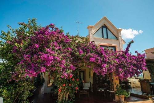 Imagen 3 de 28 de Venta De Casa 5 Dormitorios En Las Grutas, Punta Ballena