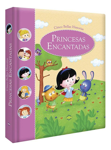 Cinco Bellas Historias De Princesas