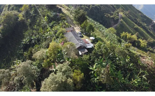 Venta Finca 77000 Mts2 Abejorral Vereda El Guaico