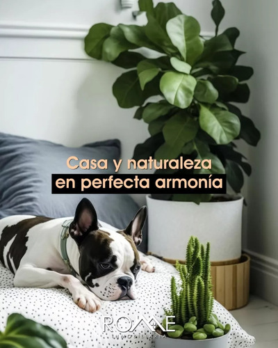 Casa En Venta En Colinas Del Sur. Delegación Álvaro Obregón. Cdmx!!