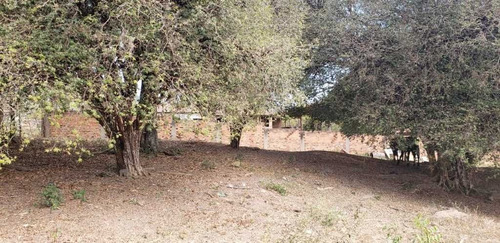 Sitio Com 3 Hectares A 4 Km Do Asfalto São João Da Boa Vista 850.000,00 - 33606