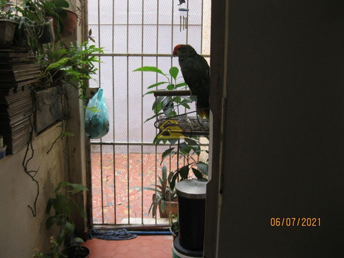 Imagem 20 de 20 de Apartamento - Ref: Scvp2045