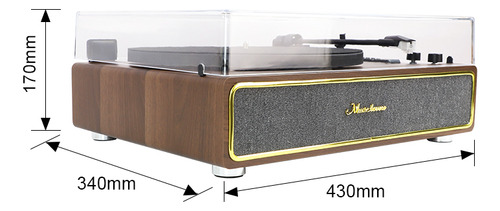 Bandeja Vinilo Giradisco Tocadisco Madera Parlante Pua Bt Fm